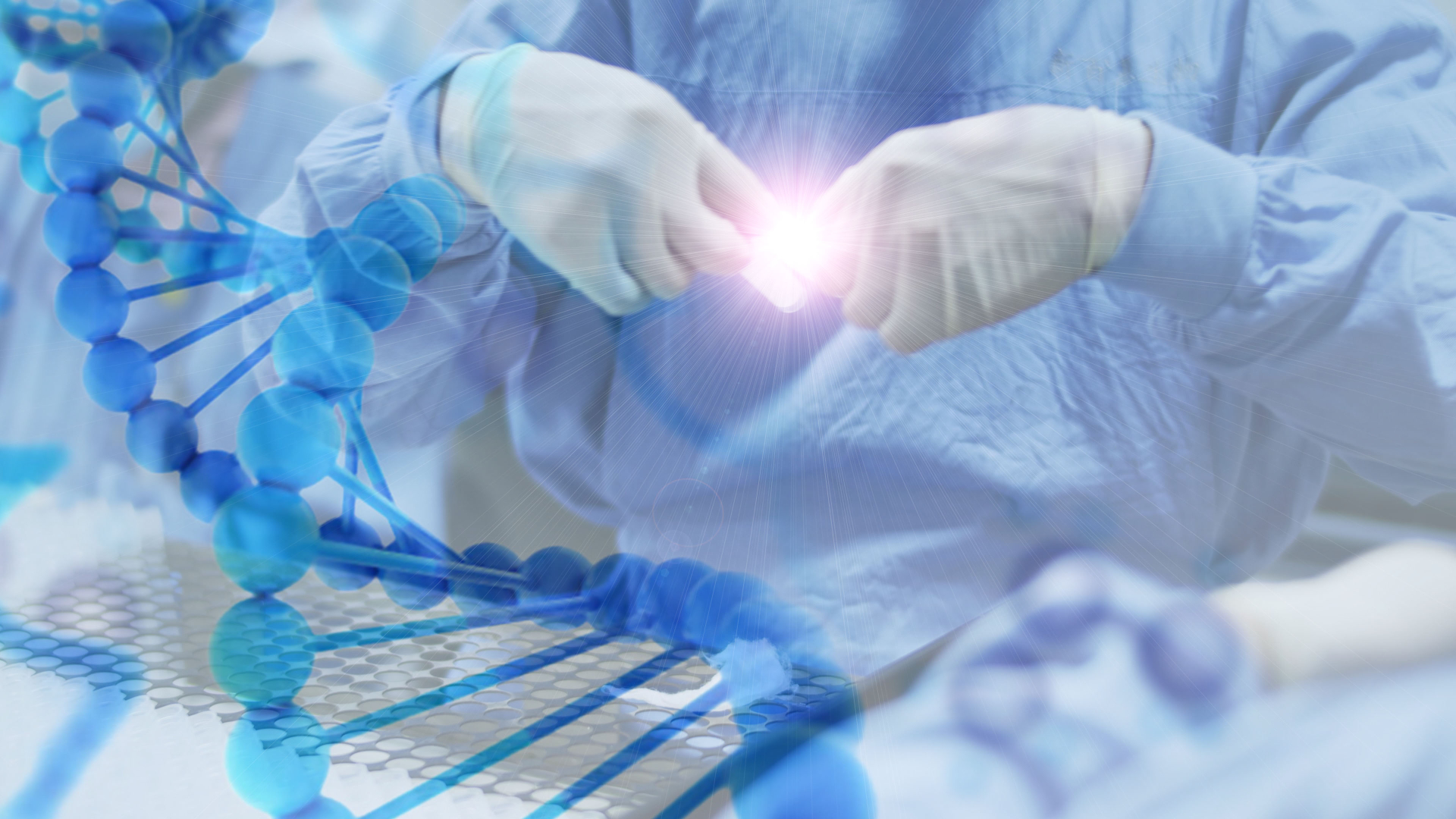 地拉羅司項(xiàng)目